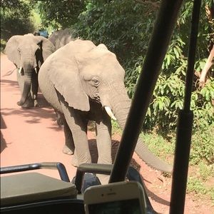 Meet your Posher, Jessina